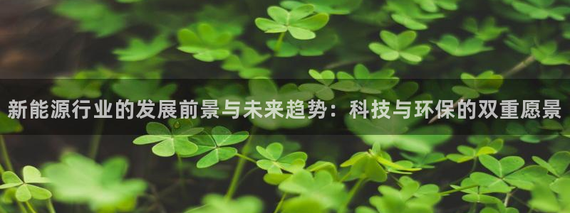 新宝gg棋牌：新能源行业的发展前景与未来
