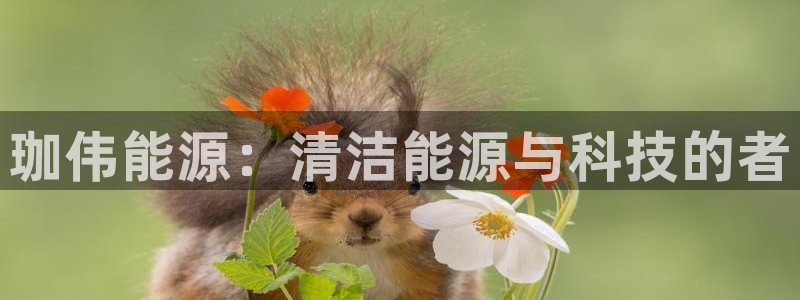 新宝gg app:珈伟能源:清洁能源与科技的者