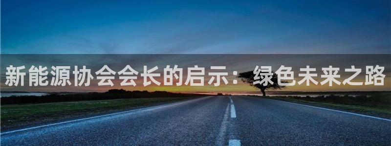 新宝gg 登录页面：新能源协会会长的启示