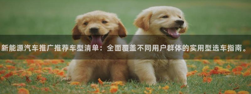 新宝gg返点模式:新能源汽车推广推荐车型清单:全面覆盖不同用