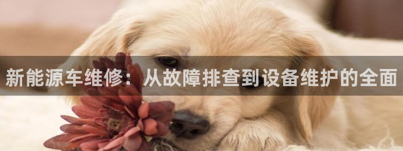 新宝3和新宝gg：新能源车维修：从故障排