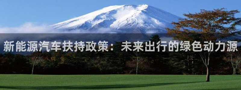 新宝gg什么