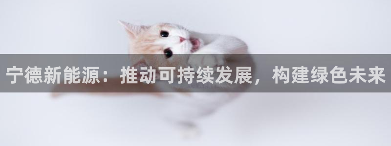 新宝gg属于