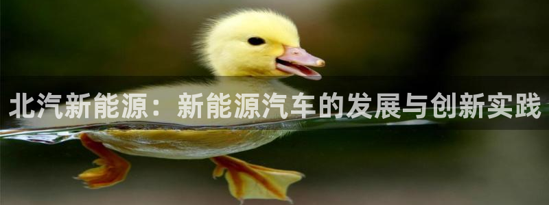 新宝gg官方