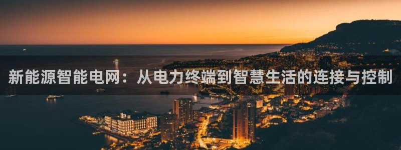 新宝gg平台登录:新能源智能电网:从电力终端到智慧生活的连接