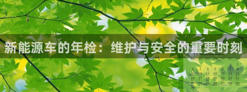 创造奇迹 新宝gg:新能源车的年检:维护与安全的重要时刻