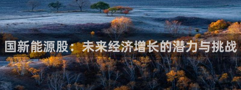 新宝gg 创造:国新能源股:未来经济增长的潜力与挑战