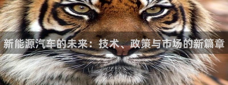 新宝GG管理：新能源汽车的未来：技术、政