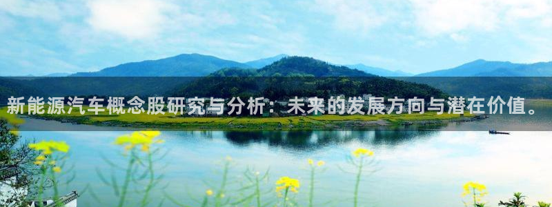 新宝GG寥78778：新能源汽车概念股研