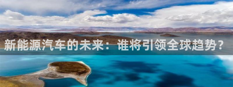 新宝gg挂机软件下载:新能源汽车的未来:谁将引领全球趋势?