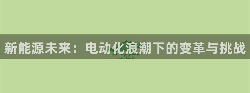 55新宝gg:新能源未来:电动化浪潮下的变革与挑战