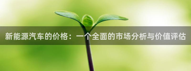 新宝GG的老板:新能源汽车的价格:一个全面的市场分析与价值评