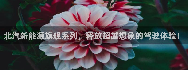 新宝gg合作:北汽新能源旗舰系列,释放超越想象的驾驶体验!