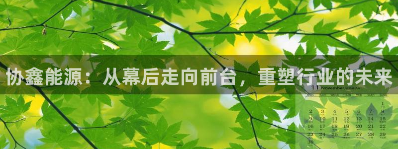 新宝6娱乐新宝gg:协鑫能源:从幕后走向前台,重塑行业的未来