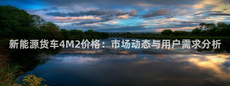 新宝一GG:新能源货车4M2价格:市场动态与用户需求分析