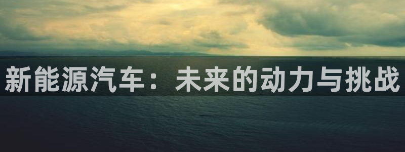新宝gg娱乐注册-全芏网:新能源汽车:未来的动力与挑战