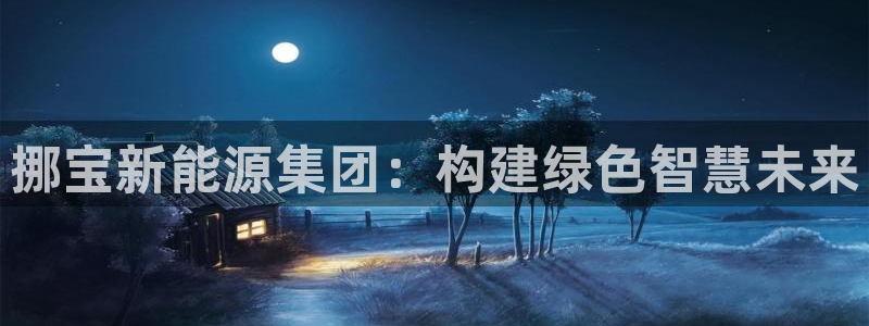 www.新宝gg:挪宝新能源集团:构建绿色智慧未来