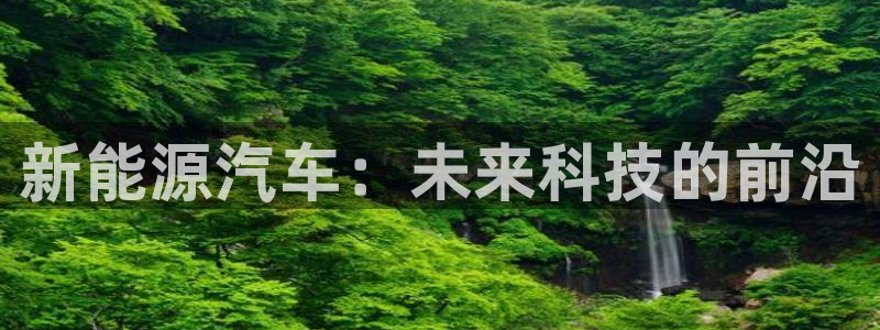 新宝gg工资:新能源汽车:未来科技的前沿