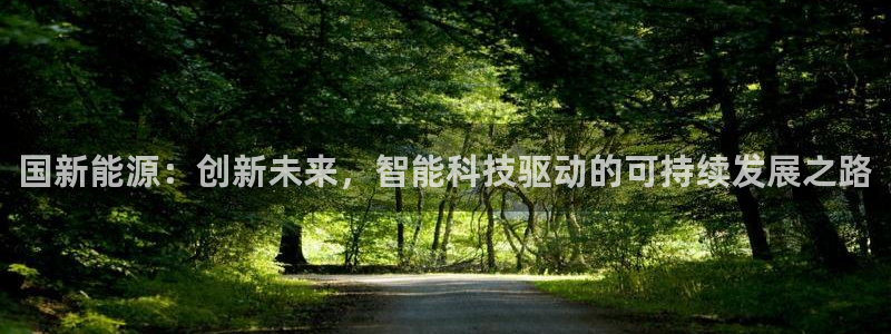 新宝gg注册q26880:国新能源:创新未来,智能科技驱动的