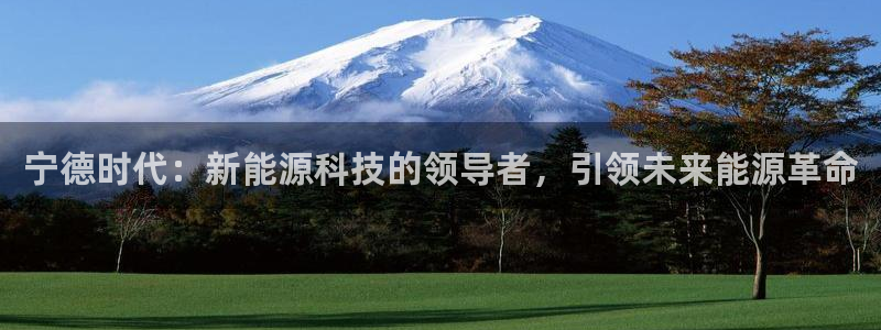 新宝gg好吗:宁德时代:新能源科技的领导者,引领未来能源革命