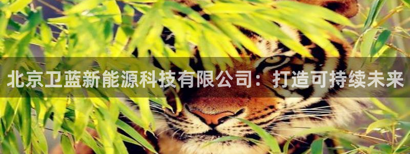 新宝gg创:北京卫蓝新能源科技有限公司:打造可持续未来