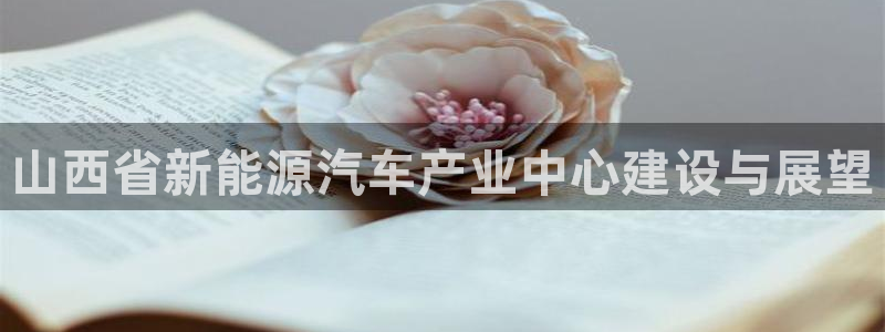 新宝gg—创造:山西省新能源汽车产业中心建设与展望