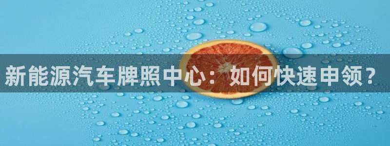 新宝gg创造奇迹登陆:新能源汽车牌照中心:如何快速申领?