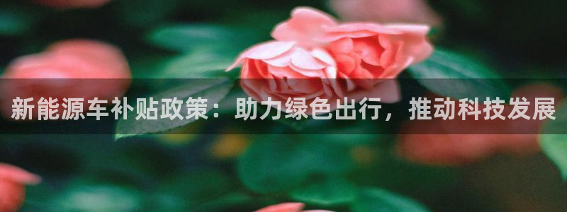 新宝gg平台开发:新能源车补贴政策:助力绿色出行,推动科技发