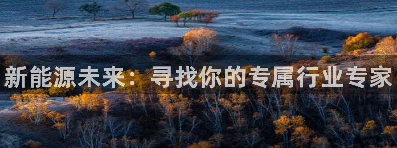 新宝gg开号:新能源未来:寻找你的专属行业专家