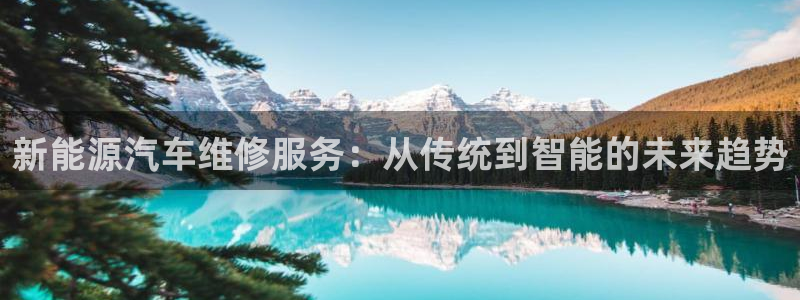 新宝gg集团:新能源汽车维修服务:从传统到智能的未来趋势