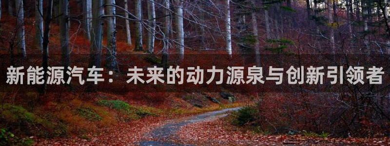 新宝GG国际:新能源汽车:未来的动力源泉与创新引领者