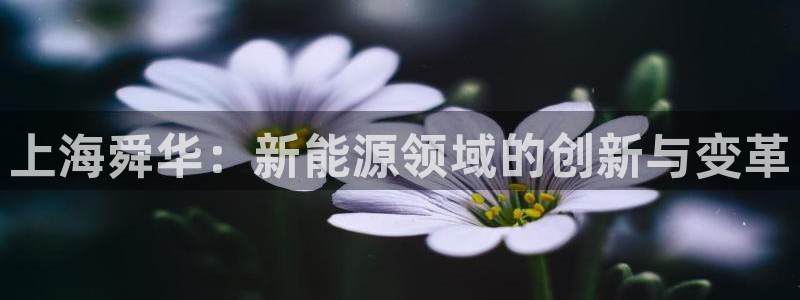 新宝GG厮78778:上海舜华:新能源领域的创新与变革