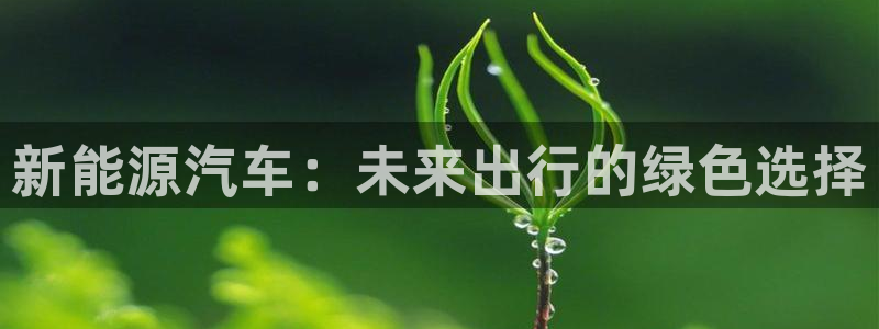 新宝gg4:新能源汽车:未来出行的绿色选择