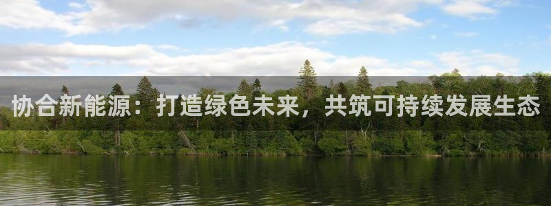 新宝gg图片:协合新能源:打造绿色未来,共筑可持续发展生态