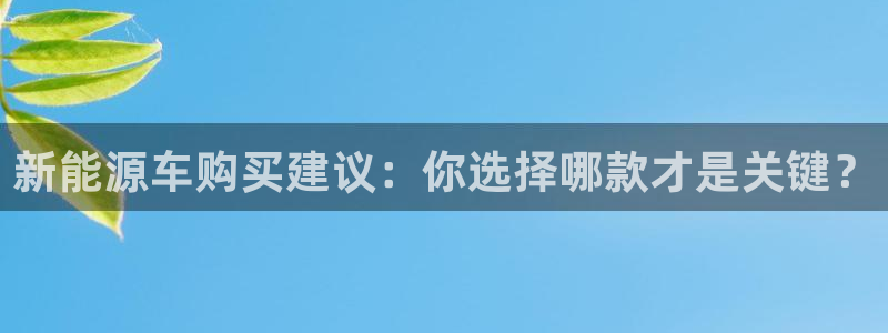 新宝gg游戏:新能源车购买建议:你选择哪款才是关键?
