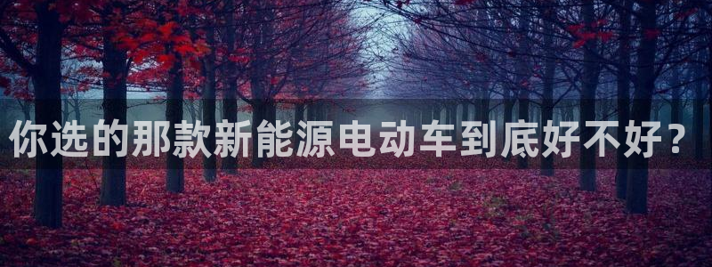 gg新宝gg:你选的那款新能源电动车到底好不好?