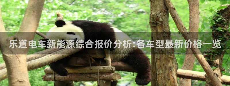 新宝gg一创造奇迹:乐道电车新能源综合报价分析:各车型最新价