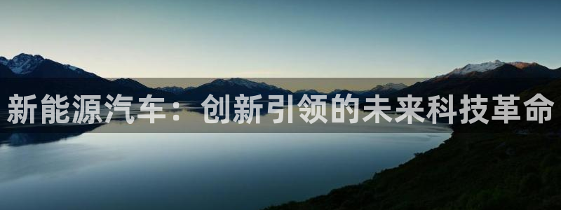 新宝GG啦78778:新能源汽车:创新引领的未来科技革命
