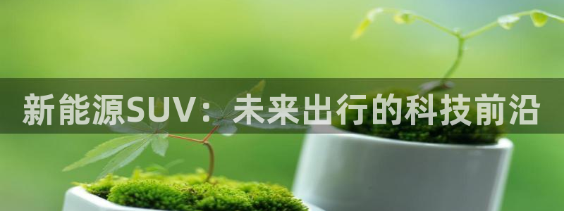 新宝gg网:新能源SUV:未来出行的科技前沿
