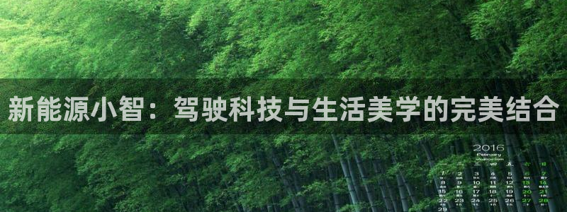 新宝gg平台开户:新能源小智:驾驶科技与生活美学的完美结合