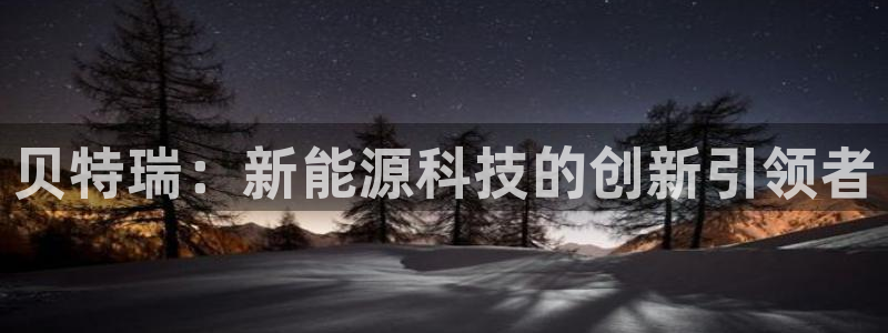 新宝gg主管baidu:贝特瑞:新能源科技的创新引领者