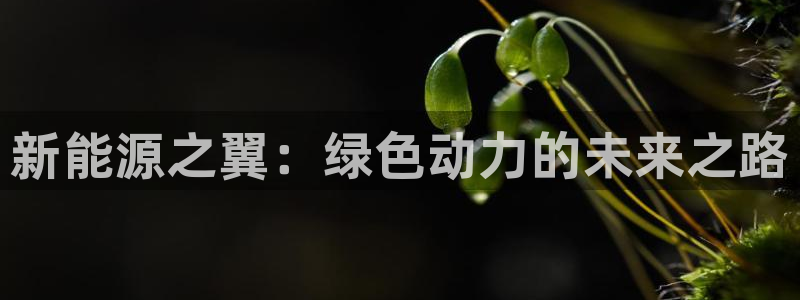 新宝gg 创造:新能源之翼:绿色动力的未来之路