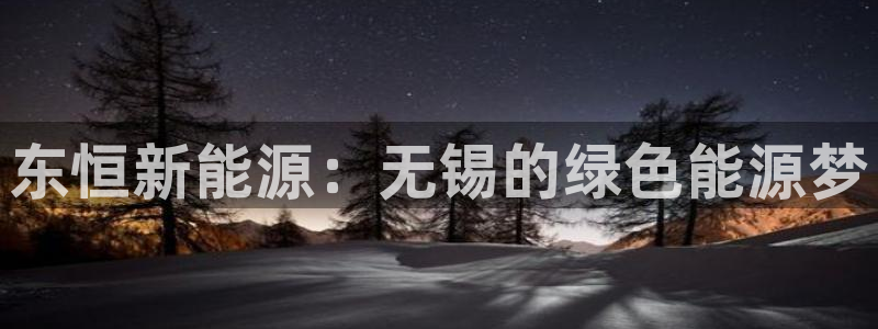 新宝gg招商致胜团队:东恒新能源:无锡的绿色能源梦