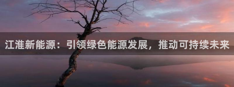 新宝gg登录网址:江淮新能源:引领绿色能源发展,推动可持续未