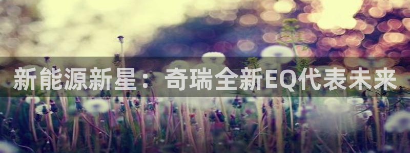 新宝GG朔78778：新能源新星：奇瑞全