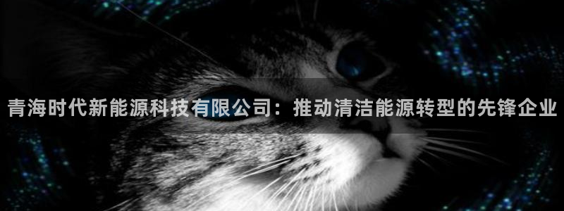 新宝gg娱乐上皇巢网：青海时代新能源科技