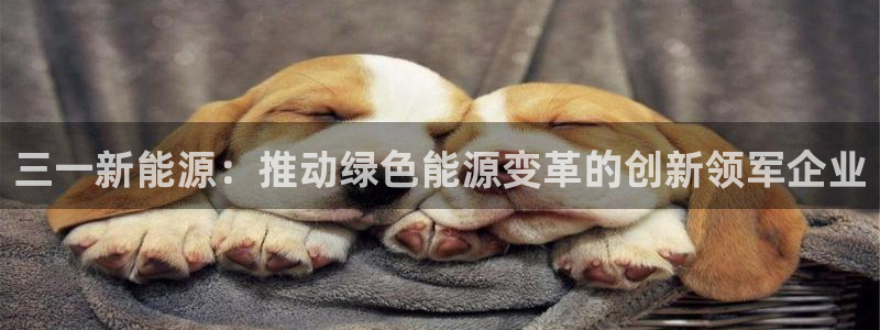 新宝gg 黑:三一新能源:推动绿色能源变革的创新领军企业