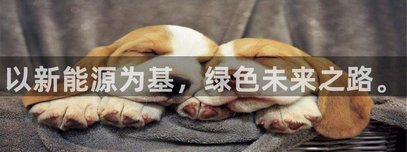 新宝gg盈亏