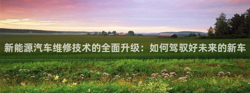 新宝gg找回账号:新能源汽车维修技术的全面升级:如何驾驭好未