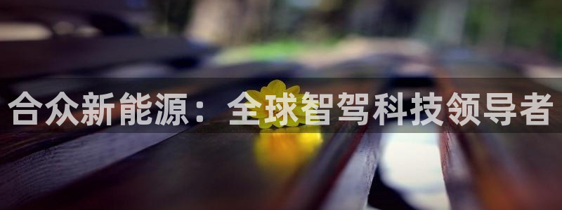 新宝gg代理登录:合众新能源:全球智驾科技领导者